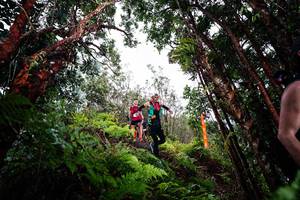 BIB: 
                            <button type="button" onclick="openModal(26202491)" class="btn btn-primary btn-sm float-right btn-popup" data-toggle="modal" data-target=".modal-high-quality">
                        <i class="fas fa-shopping-cart"></i> Add to Cart
                    </button>
                                            <button type="button" onclick="isThisMe(26202491, true)" class="btn btn-success btn-sm float-right btn-popup btn-isme hidden" data-toggle="tooltip" data-placement="bottom" title="นี่คือรูปของคุณใช่ไหม คลิกที่นี่เพื่อเอาเข้าอัลบั้ม">
                        <i class="fas fa-plus"></i> Add to album
                    </button>
                    <button type="button" onclick="isThisMe(26202491, false)" class="btn btn-warning btn-sm float-right btn-popup btn-isnotme hidden">
                        <i class="fas fa-ban"></i> Remove from album
                    </button>